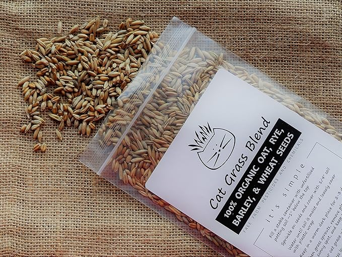 Simple Cat Grass Blend, 100% US Organic, 4 Popular Seeds: Wheat, Barley, Oats, and Rye Mix Combo, Show Your Love with a Healthy Pet Snack Treat (4 Ounce (~3200 Seeds))