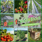 Large Fruit Tree Netting - 2 Pack 10x10FT Easy Install Plant Protection Cover, Reusable Garden Mesh Bag for Blueberry Bushes/Tomato - Blaock Birds/Insect/Squirrels