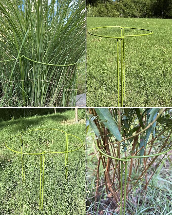6-Pack Plant Support Stakes, Steel Stakes for Indoor Plants, Monstera & Peony Support, Tall Plant Sticks for Snake Plant, Climbing Vines, Metal Garden Stakes (10" W x 15.8" H)