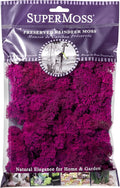Super Moss (23164) Reindeer Moss Preserved, Fuchsia, 2oz