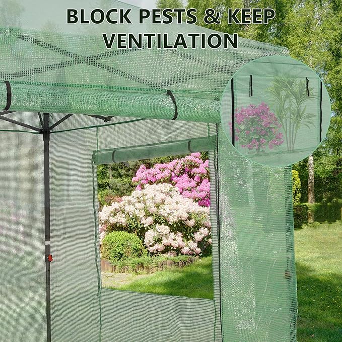 GDY 10X10FT Instant Pop-up Greenhouse, Walk-in Plant Gardening Green House with PE Cover/Roll-Up Zipper Doors/Side Windows for Indoor, Backyard and Outside, Green/Clear.