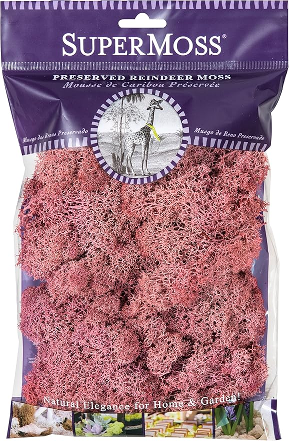 SuperMoss 25126 Reindeer Mosss Preserved, 80.75 Cubic inch (in3) Bag (Appx. 2oz), Dusty Rose
