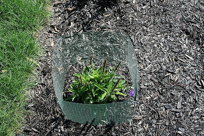6 New Small Wire Plant Protectors, 12" Square, 12" high (Vinyl Coated Rust Resistant Wire)