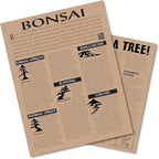 Bonsai Tree | Chinese Juniper | Seed Grow Kit | The Jonsteen Company
