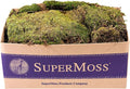 SuperMoss (21537) Mood Moss – Natural Moss for Home Decor, Terrariums, Floral Arrangements, and Craft Projects, 1,564 cu in, Dried