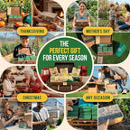 75 Vegetable & Greens Seeds Variety Pack, Garden Seed Starter Kit - Over 44,700 Non-GMO Heirloom Seeds for Planting Vegetables and Greens, Seed Box with Gardening Supplies, Gardening Gifts