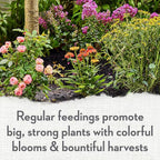 Whitney Farms Organic Kelp Meal 0.7-0.1-2 - Seaweed Fertilizer for Plants, Soil Conditioner for Vegetables, Flowers, Roses and Shrubs, 2 lb.