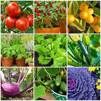 The Old Farmer's Almanac Tomato & Vegetable Plant Food Mini Spikes - NPK 6-4-6 for Continuous Feeding and Bountiful Harvests (24 Mini Spikes)