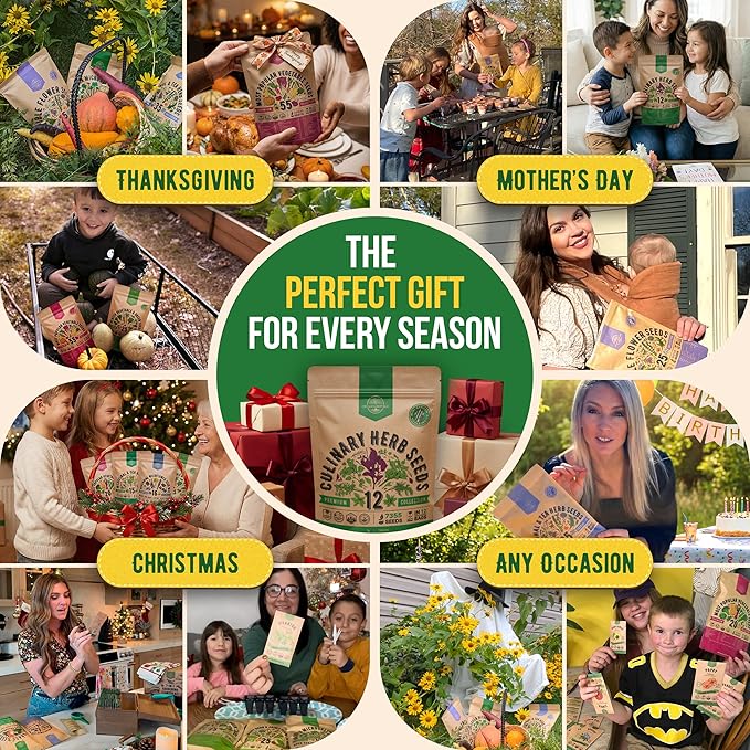 Organo Republic 12 Culinary Herbs Seeds Variety Pack - 7,355+ Heirloom, Non-GMO, Herbs Seeds for Outdoor and Indoor Home Gardening, Including Basil, Cilantro, Chives, Dill, Parsley, Sage