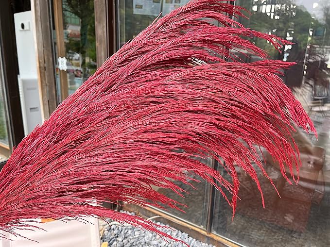 Red Natural Pampas Grass for Vase Decor,8pcs Dried Pampas Grass, Large Pompas Floral, Elegant Feather Flowers for Wedding Decorations, Living Room Decor (Natural Red, 8pcs 31.5"(80cm))
