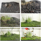 4 Bags Aquarium Plant S.e.e.ds, not Artificial Plastic Plant, Fish Tank Live Grass for All Substrate (0.36ozTiny+0.36oz Long+0.36oz Short+0.36oz Big Dual) ZQV-014