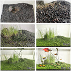 4 in 1 Aquarium Plant S.e.e.ds, no Artificial Plastic Plant, Live Grass for Fish Tank, fit All Substrate (0.36ozTiny+0.36oz Long+0.36oz Short+0.36oz Big Dual) ZQV-003