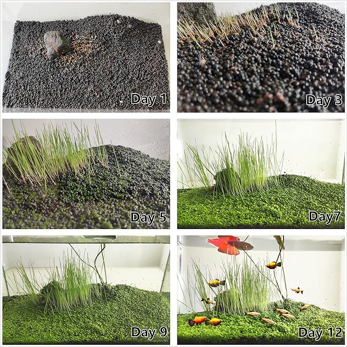 3 Bags Aquarium Plant S.e.e.d set, not aritifical plastic, Fresh Water Grass for Fish Tank zmml4