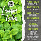Seed Needs Herb Seeds for Planting a Collection of 6 Medicinal Herbs - Non-GMO Heirloom & Untreated Tea & Infusion Varieties (Chamomile, Lemon Balm, Spearmint, Anise Hyssop, Lemon Mint & Catmint)