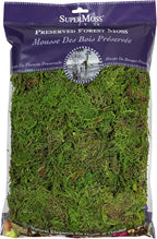 SuperMoss (25322) Forest Moss Preserved, Fresh Green, 8oz