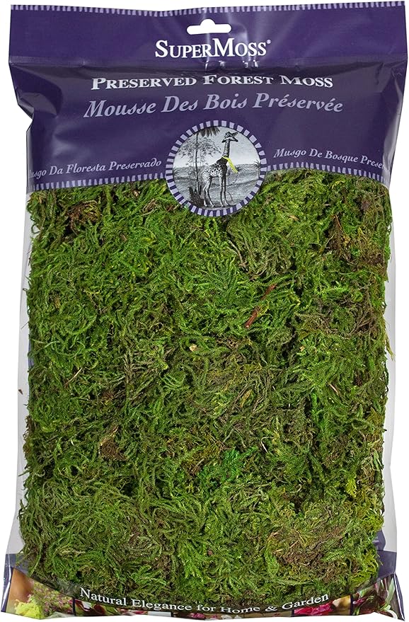 SuperMoss (25322) Forest Moss Preserved, Fresh Green, 8oz