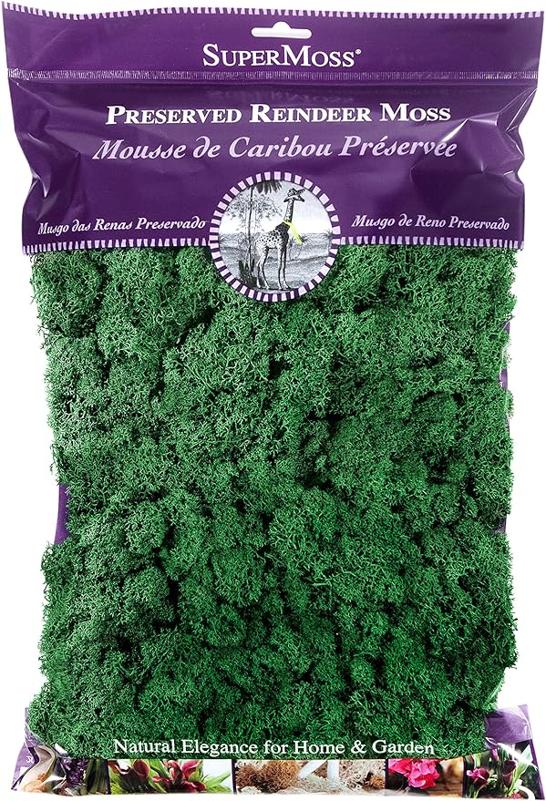 SuperMoss (21757) Reindeer Moss Preserved, Forest, 8oz (200 cubic inch)