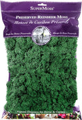 SuperMoss (21757) Reindeer Moss Preserved, Forest, 8oz (200 cubic inch)