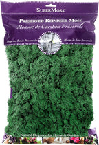 SuperMoss (21757) Reindeer Moss Preserved, Forest, 8oz (200 cubic inch)