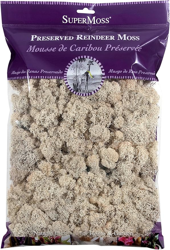 SuperMoss (21722) Reindeer Moss Preserved, Natural, 8oz (200 cubic inch)
