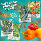 Seed Needs Tiny Tim Tomato Seeds for Planting Dwarf Cherry Tomatoes - Non-GMO Heirloom & Untreated Veggie Seed to Plant a Home Grown Outdoor Vegetable Garden (20 Packs)