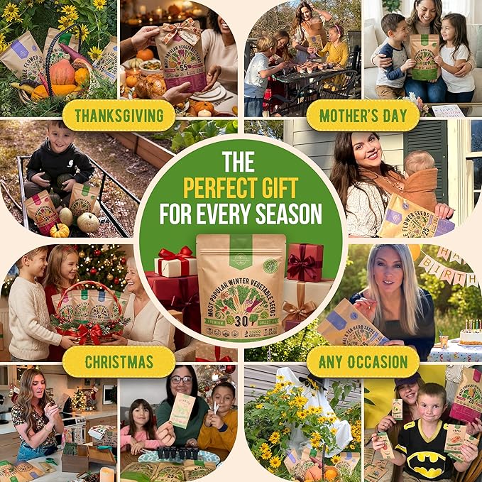 Organo Republic 30 Most Popular Winter Vegetable Garden Seeds Variety Pack- Outdoors/Indoor 33,200+ Non-GMO Heirloom Veggie Seeds Broccoli Beet Carrot Cabbage Chives Lettuce Radish Pea Spinach & More