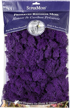 SuperMoss (25141) Reindeer Moss Preserved, Purple, 8oz (200 cubic inch)