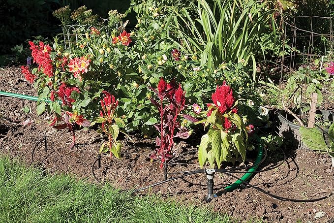 Rain Bird SWDMSPKIT Drip Irrigation Spot Watering Manifold on a Spike Kit, Bubblers and Emitters
