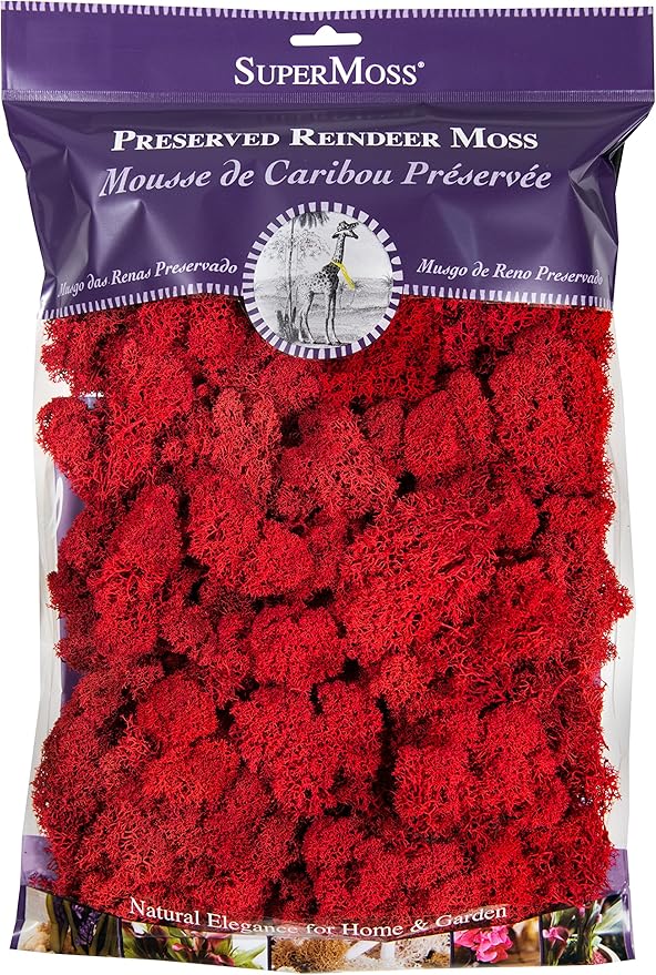 SuperMoss (23149) Reindeer Moss Preserved, Red, 8oz