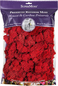 SuperMoss (23149) Reindeer Moss Preserved, Red, 8oz