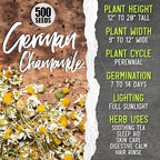 Seed Needs Herb Seeds for Planting a Collection of 6 Medicinal Herbs - Non-GMO Heirloom & Untreated Tea & Infusion Varieties (Chamomile, Lemon Balm, Spearmint, Anise Hyssop, Lemon Mint & Catmint)