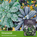 Baby Kale Seeds – Garden Blend Mix of Curly & Flat Leaf Kale – Heirloom Variety Pack for Cut-and-Come-Again Greens – Fall or Spring Planting – Survival Garden Seeds (5 Packs)