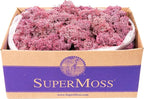SuperMoss (25150) Reindeer Moss Preserved, Dusty Rose, 3 lbs