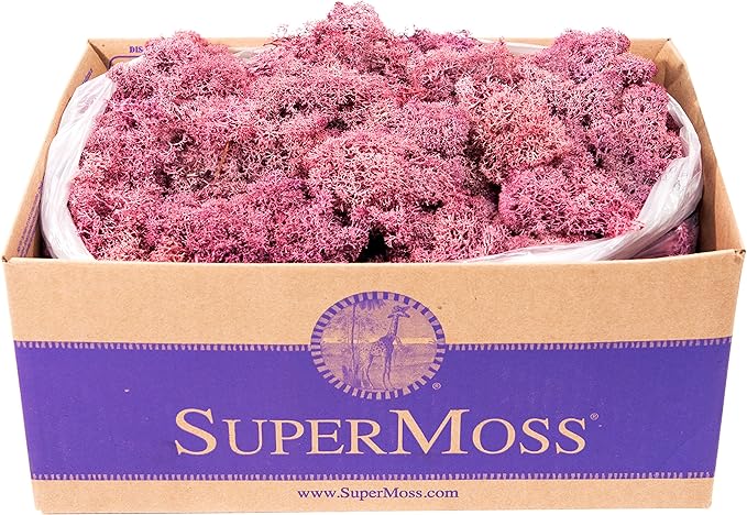 SuperMoss (25150) Reindeer Moss Preserved, Dusty Rose, 3 lbs