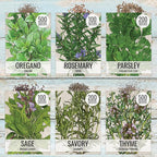 Seed Needs Herb Seeds Variety Pack Culinary Herb Collection (12 Individual Packets for Planting Indoors or Outdoors) Grow Your Own Herb Garden - Heirloom, Non-GMO