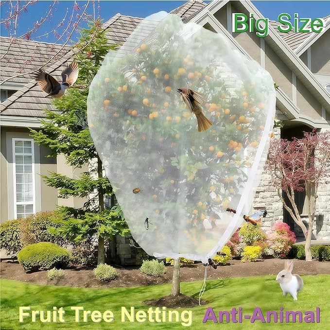 Fruit Tree Netting with Drawstring & Zipper - 3 Pack 6.6x8 FT - Reusable Plant Protection Bag, Heavy Duty PE Mesh Cover for Blueberry Bushes - Blocks Birds/Deer/Squirrels