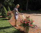 Dramm 12426 One Touch Shower and Stream, Berry