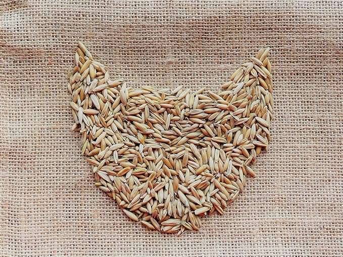 Simple Cat Grass | 100% US Organic Oat Seeds | Show Your Love with a Healthy Pet Treat and Snack (4 Ounce (~3200 Seeds))